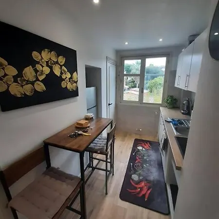 Appt Proche Juan Les Pins Apartment